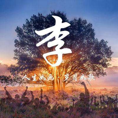 模拟沙盒建造手机版下载