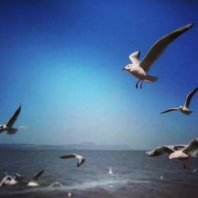 玩湃生活app下载