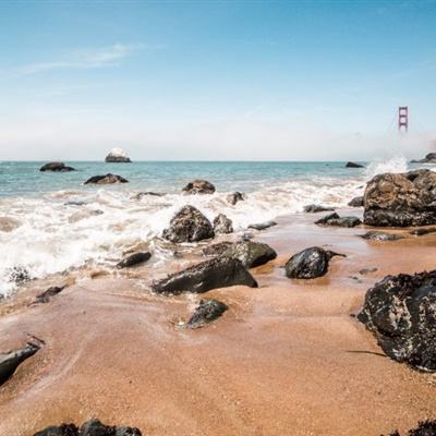 我功夫特牛赚钱版下载
